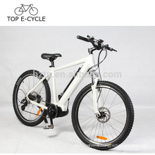 2017 New electric bicycle e bike green power mountain ebike 8FUN MAX mid drive motor electric bike